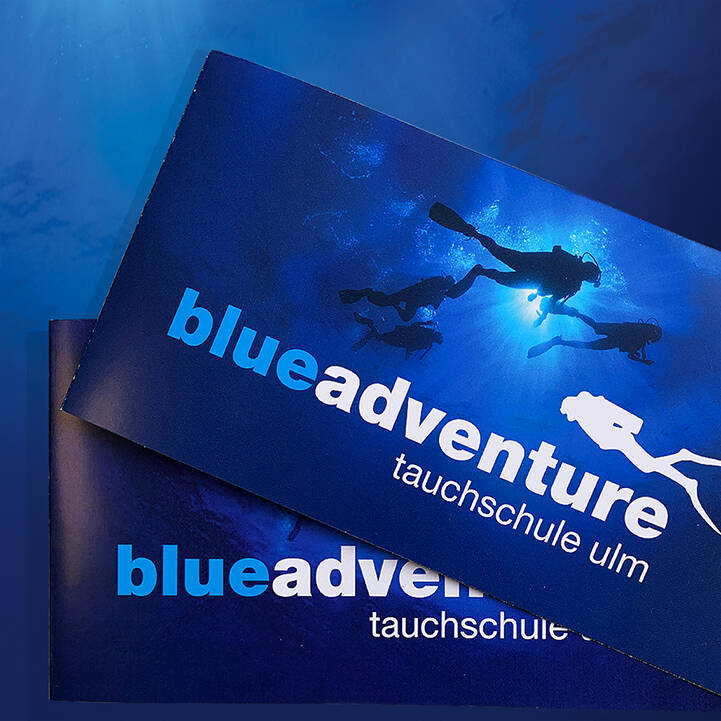 blue-adventure_flyer-standard.jpg