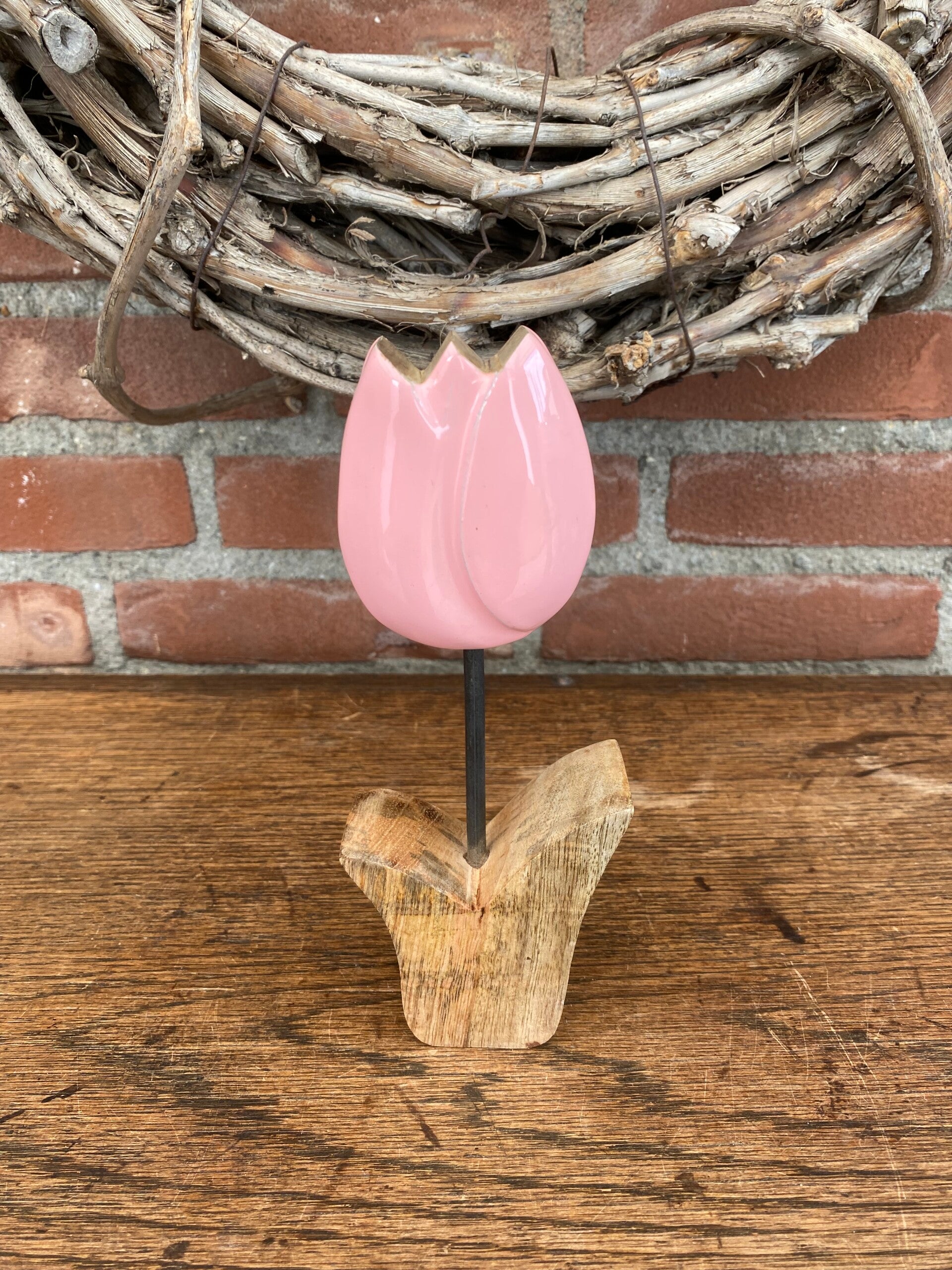 Tulp