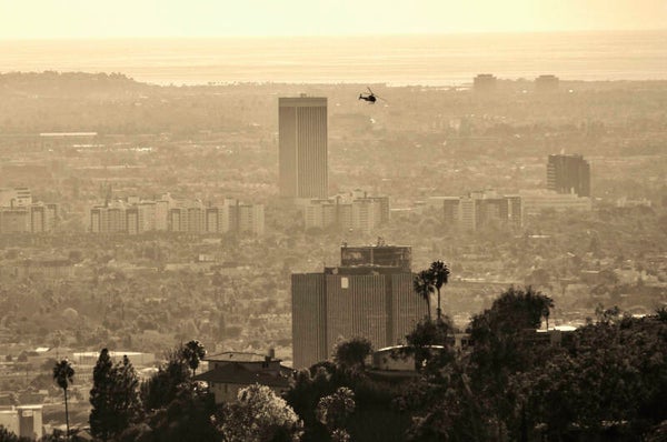 Urbain, Los Angeles, Série Regards Croisés - Tirage Fine Art signé et numéroté, édition limitée sur alu dibond