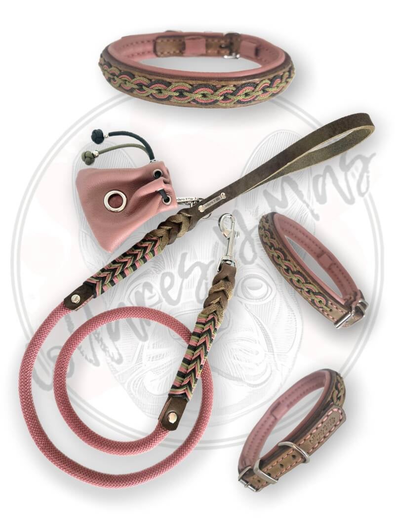 Collar y correa de cuero para perro