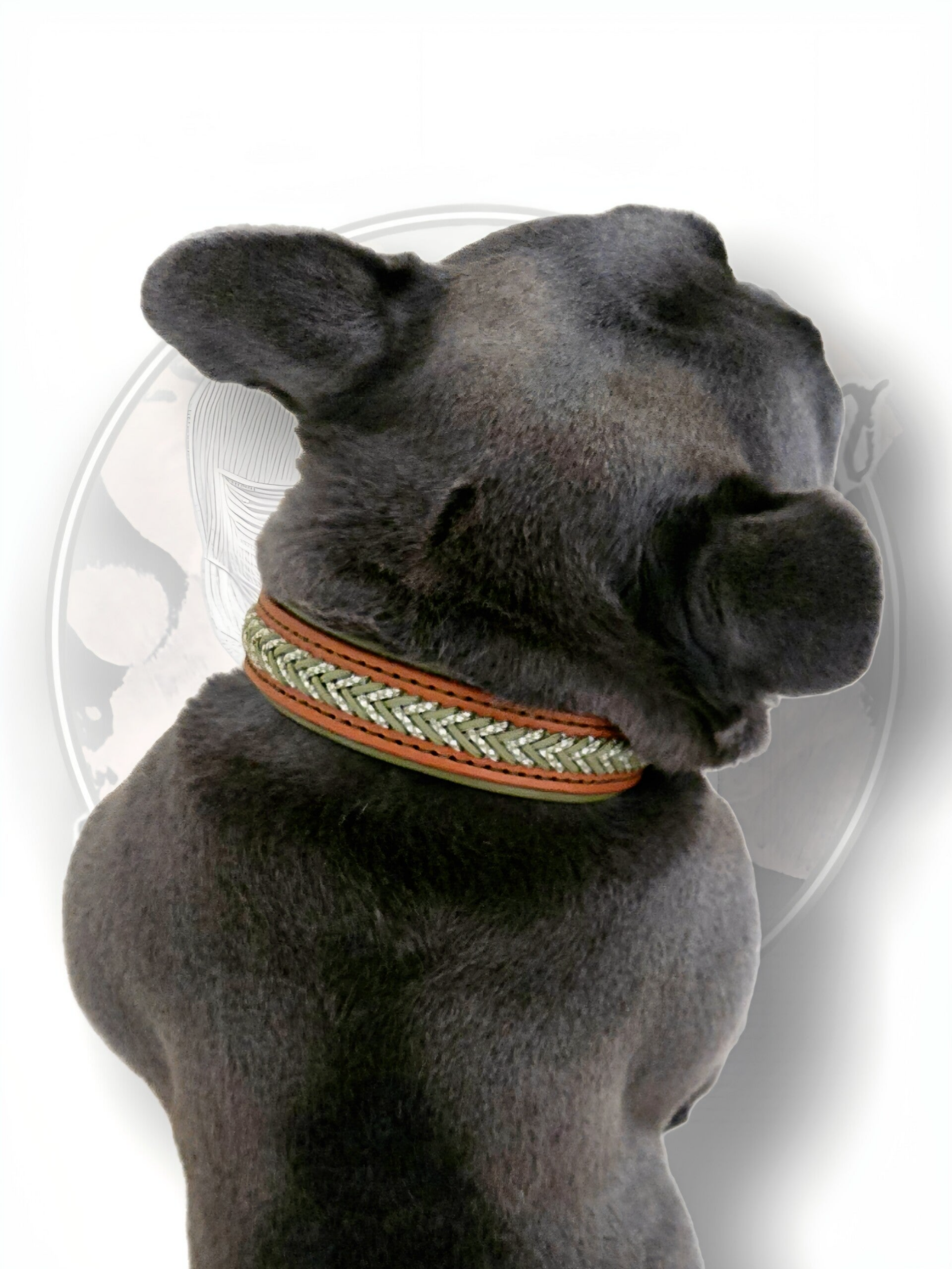 Perro con collar de cuero hecho a mano