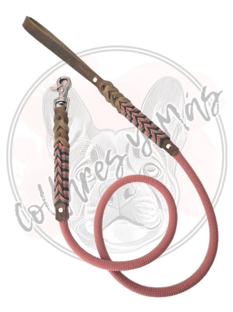 Leash leather and dog robe 