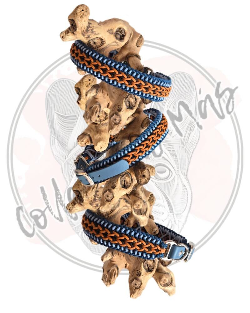 Paracord dog collar, design Sunny