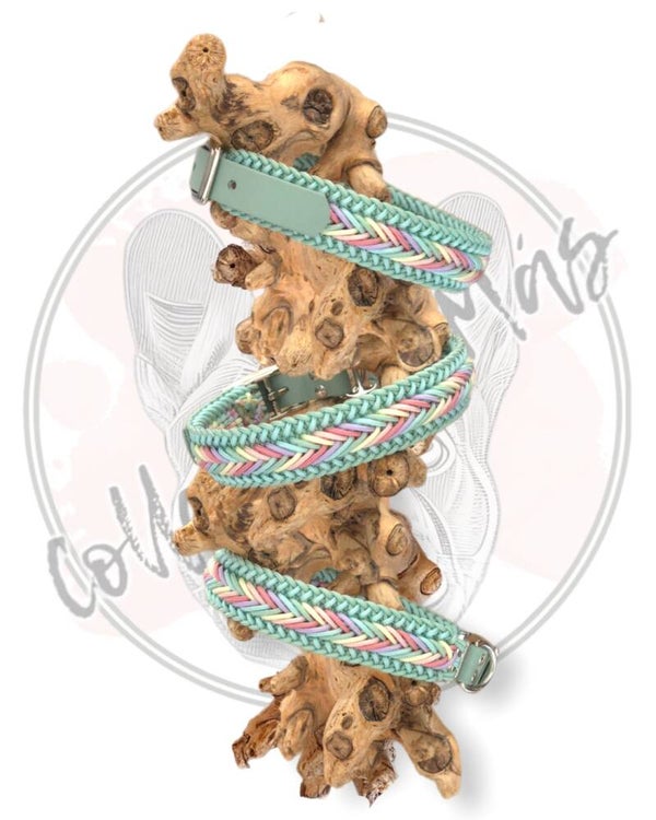 Paracord dog collar, design Beauty