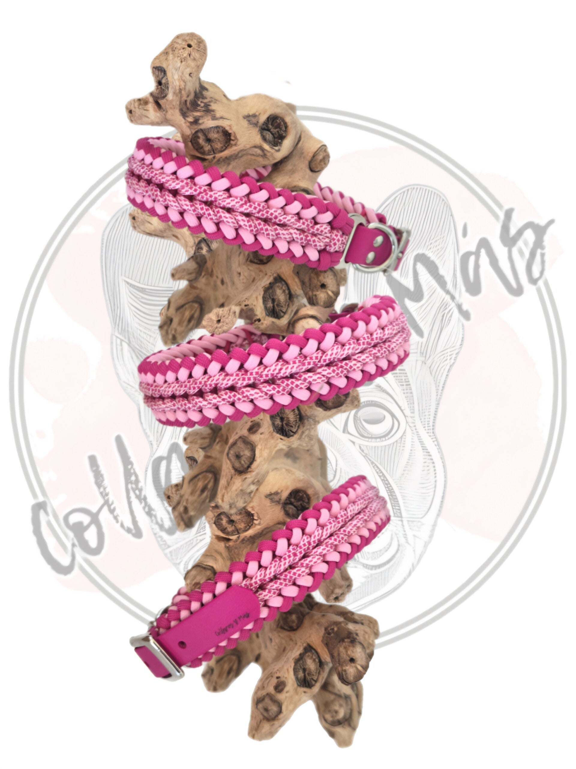 Paracord dog collar, design Smoothie