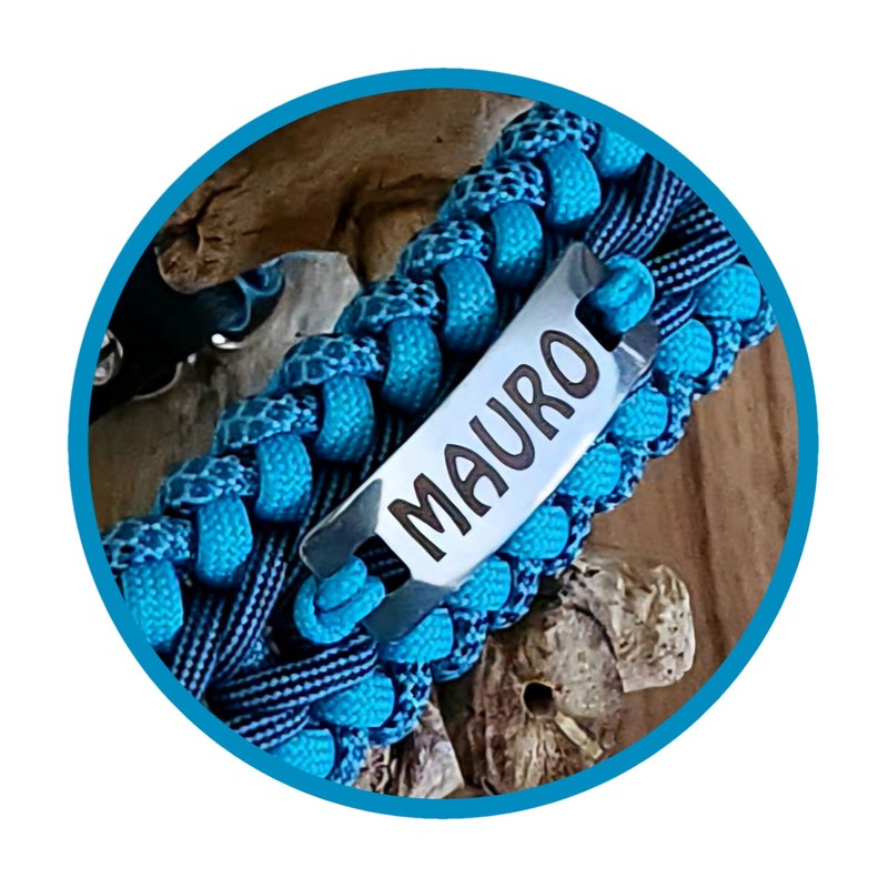 Dog's name on collar