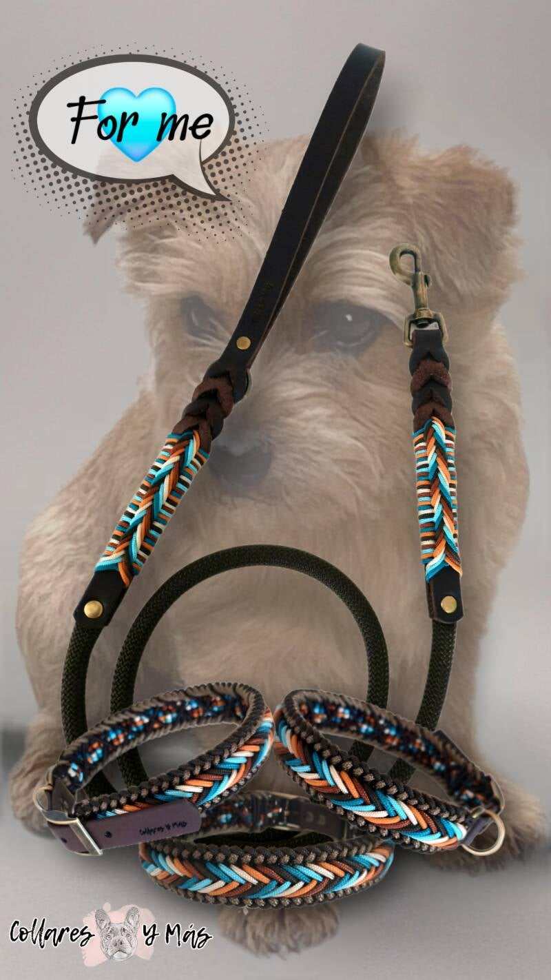 Matching collar and leash