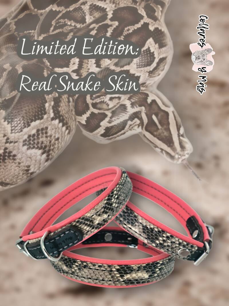 Luxurious dog collar with real snake skin 