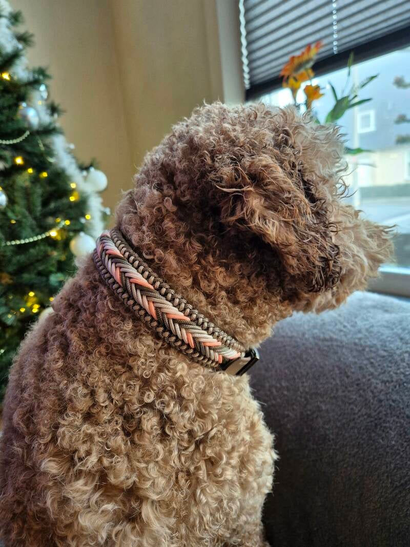 Sam wearing our paracord collars