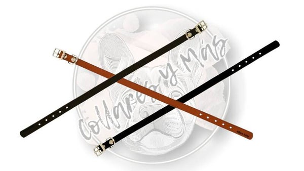 VERIETY Base Collar 10mm Saddle Leather - Size XS, Ø 21 - 25 cm