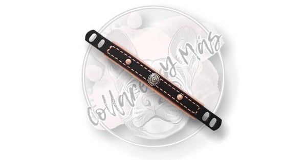 VERIETY Sleeve XS - Conchos - W: 15mm - Combine with 10mm Base Collar or put directly over Seresto <8kg