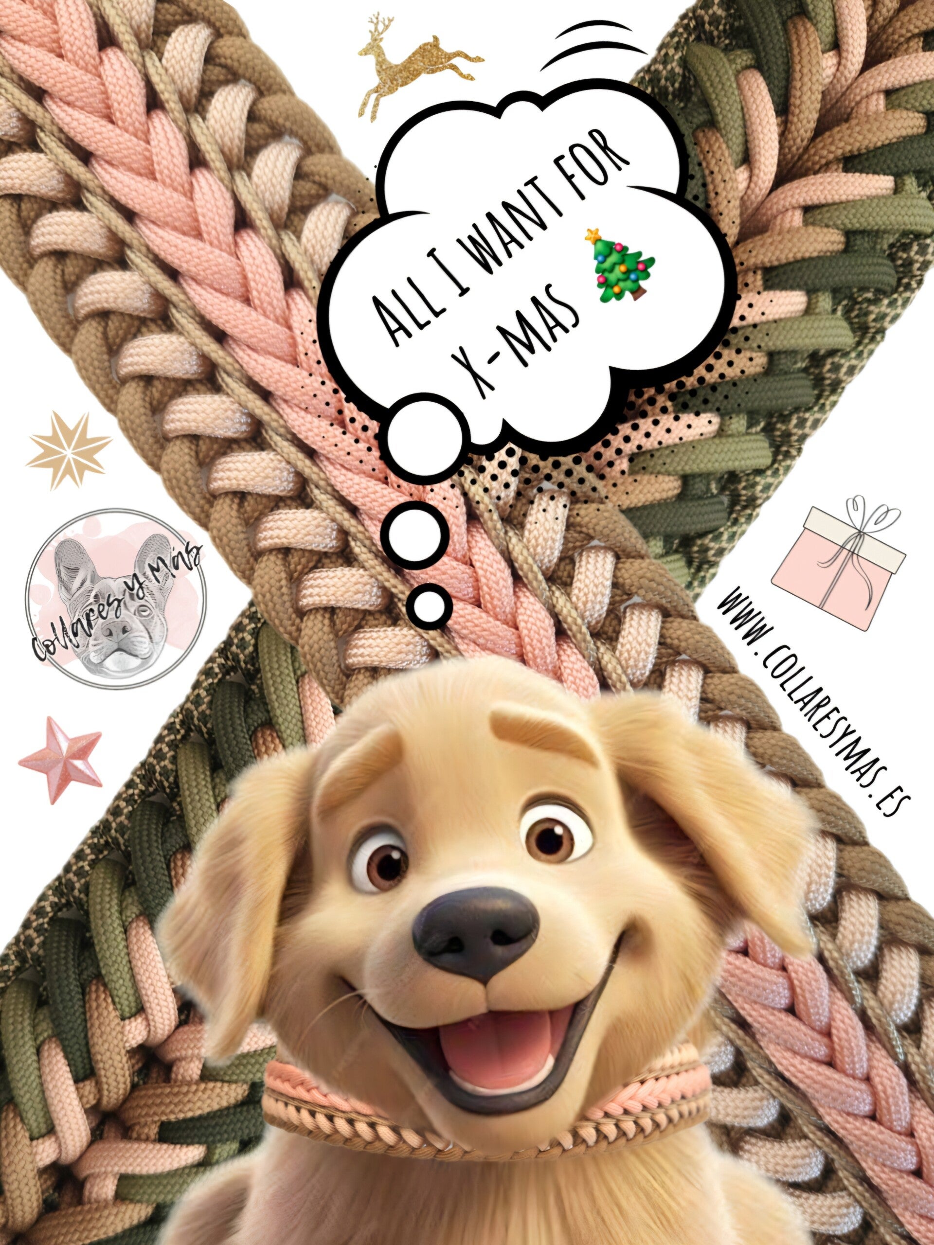 Frenchie wearing Collares Y Más paracord collar