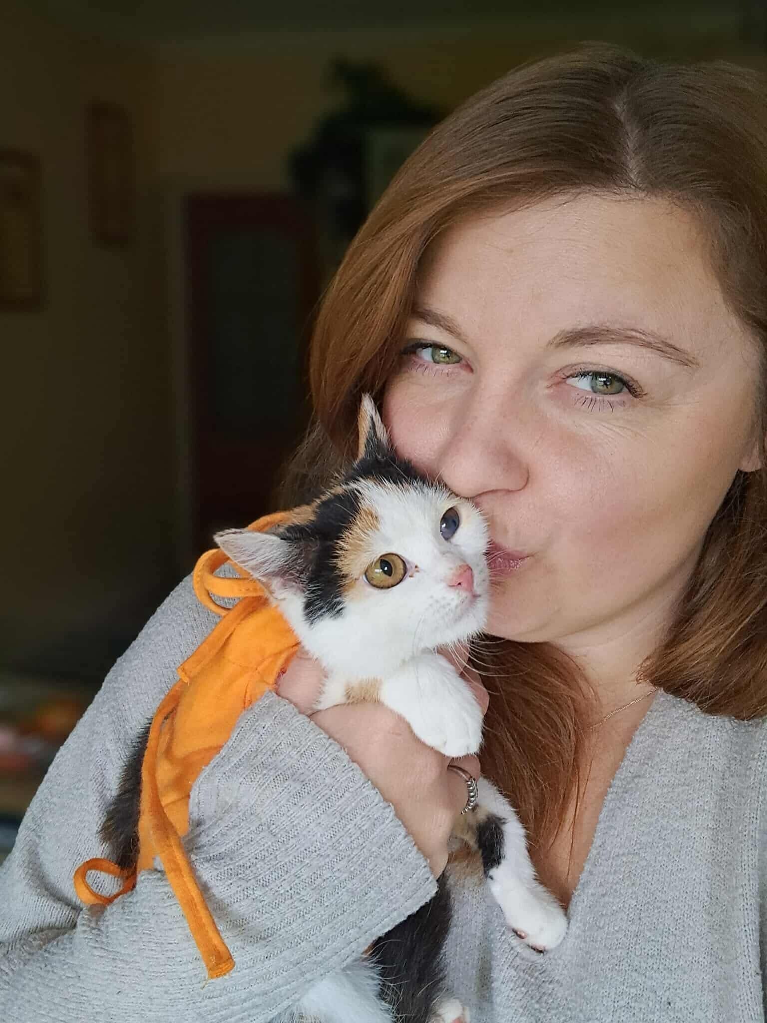 Fundacja Psystań dla zwierząt