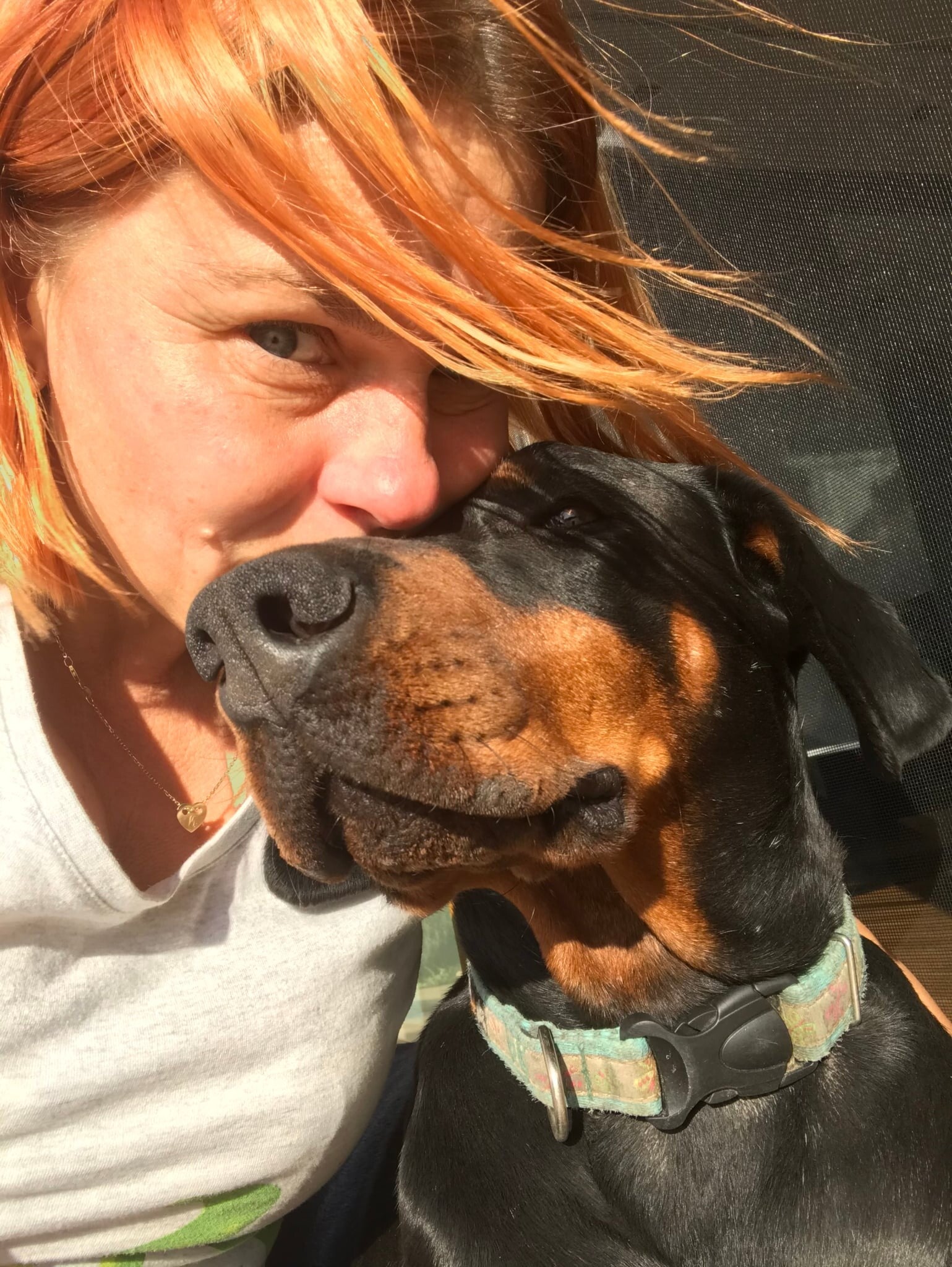 Fundacja Psystań dla zwierząt