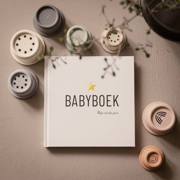 Babyboek