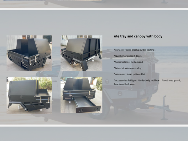 Ute Tray and Canopy With Body