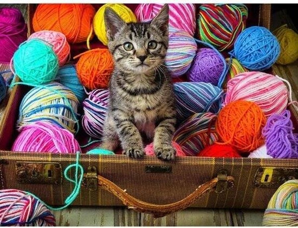 Haak maar aan handwerk ochtend NIEUWE DATUM VOLGT