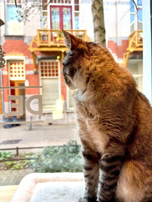 PRIMEUR! Tilburgse 1e  Spinnerij Catwalk! Zondag 28 juni 16.00 uur