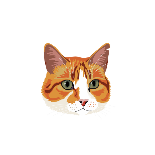 Katten set - Cadeaus & gadgets kopen? | Korting tot 50 Katten set - Cadeaus & gadgets kopen? | Korting tot 50