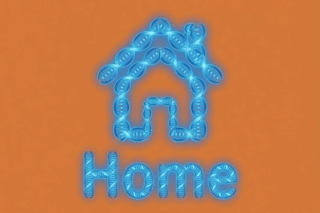 Home