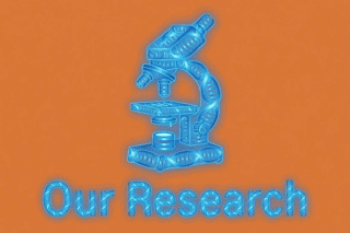 Our Research