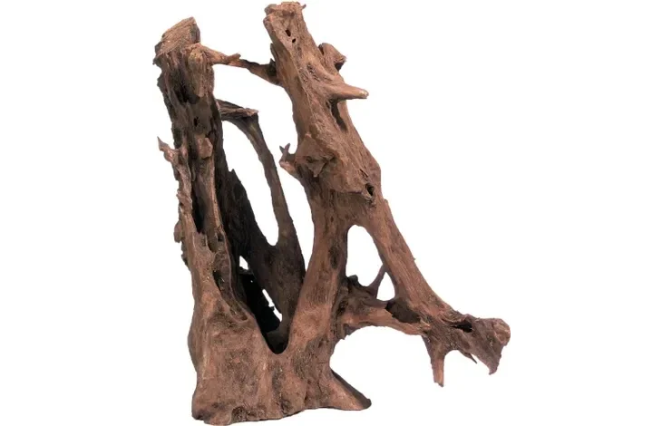 Mangrove wortel 35-65cm