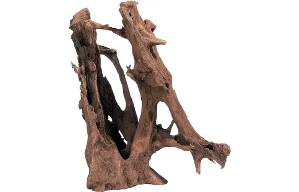 Mangrove wortel 35-65cm