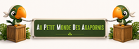 Au Petit Monde Des Agapornis