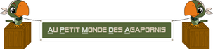 Au Petit Monde Des Agapornis