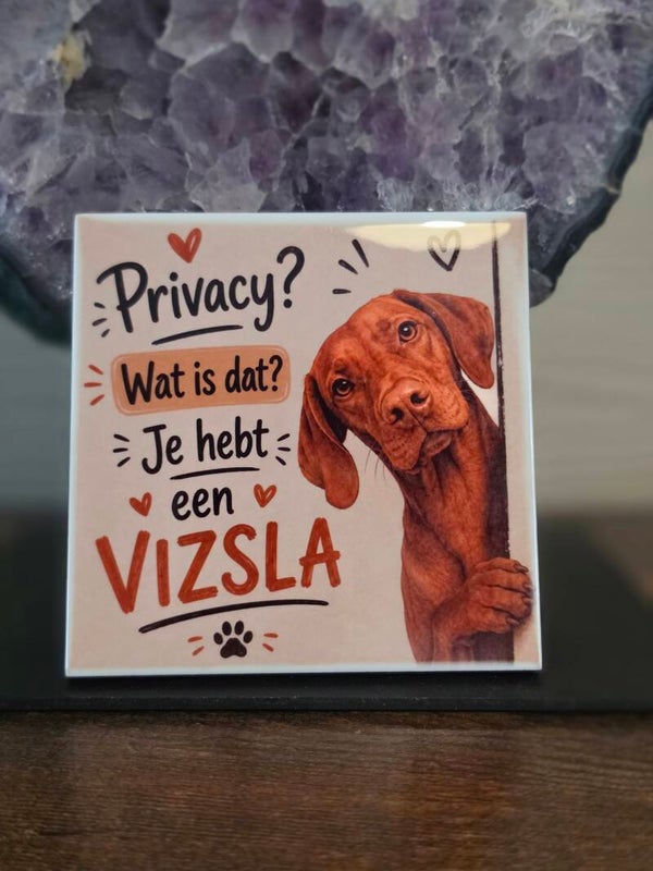 Tegeltje Vizsla
