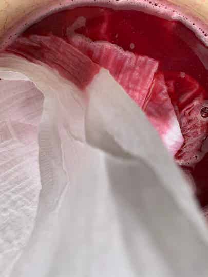 Cochenille , Natuurlijk textielverf van Oogst