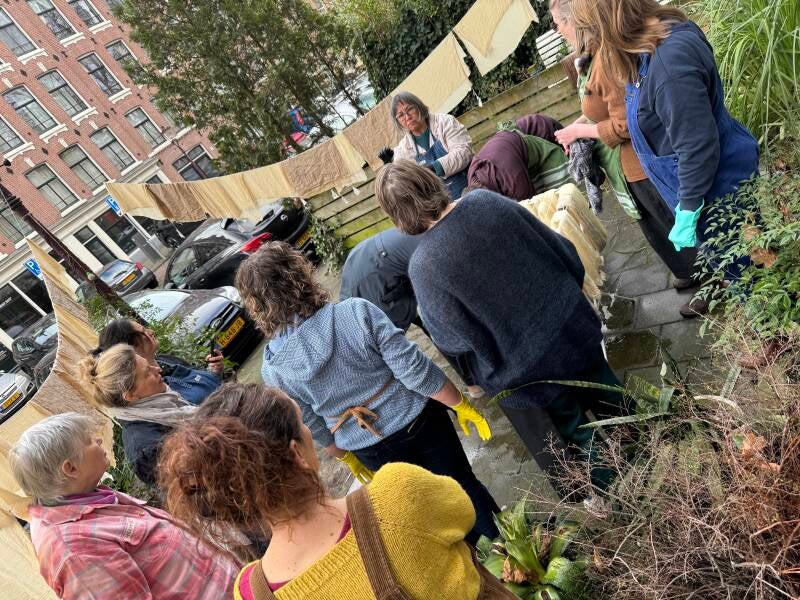 Botanische Verven, Masterprogramma Niveau 2