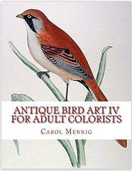 antique-bird-art-4-standard-zbhq88.jpg
