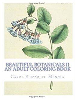 beautiful-botanicals-2-standard-q3rmlo.jpg