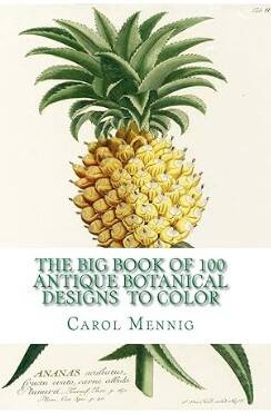 bigbook-standard-u8hgl9.jpg
