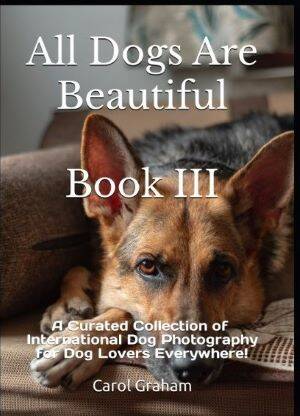 dogs-3300-standard-j83tpa.jpg