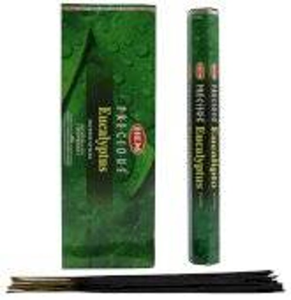 Encens HEM Eucalyptus 20g