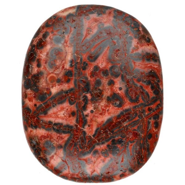 Plat roulé Léopard Jasper