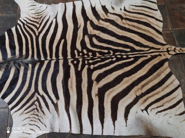 Zebra hide