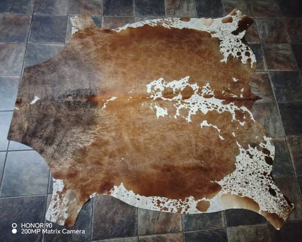 Nguni hide