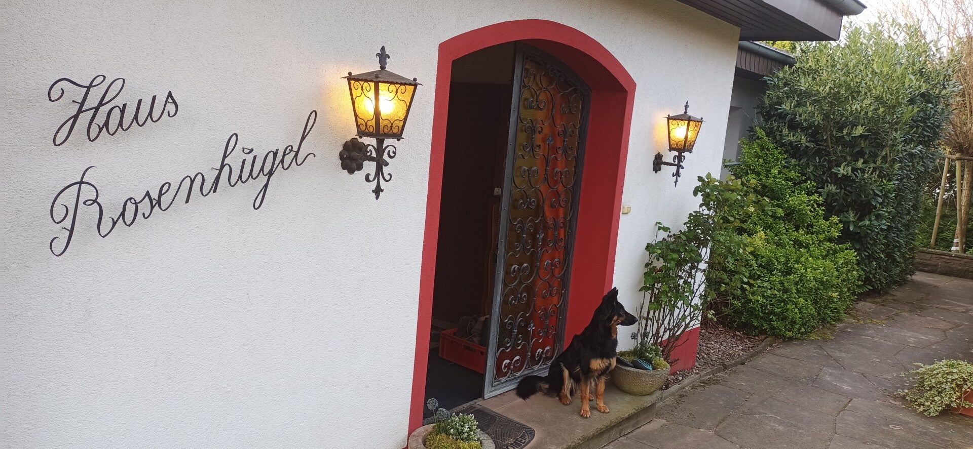 Zuchtstätte Chodsky pes Haus Rosenhügel