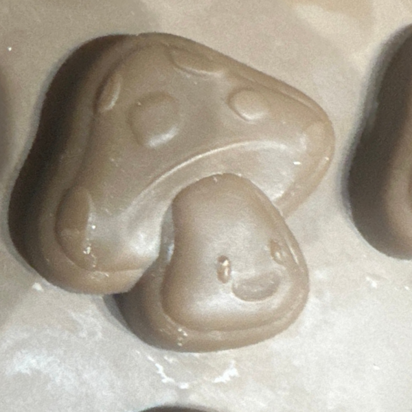 Psychedelic Peaks chocolate mushrooms