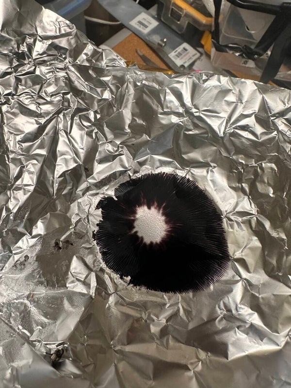 Spore syringe