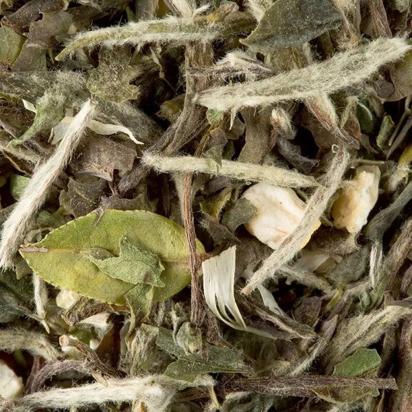 Witte thee Great Earl grey  #3668