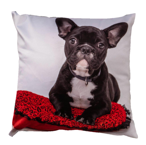 Dekokissen Quadratischer Hund 5301