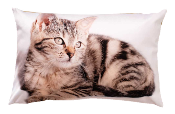 Dekoratives Kissen Katze 52001