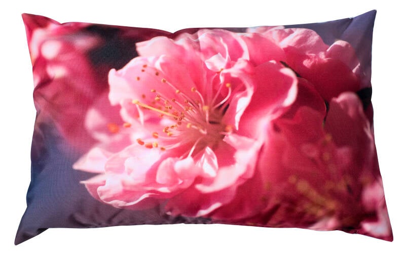 Sierkussens met sublimatiedruk