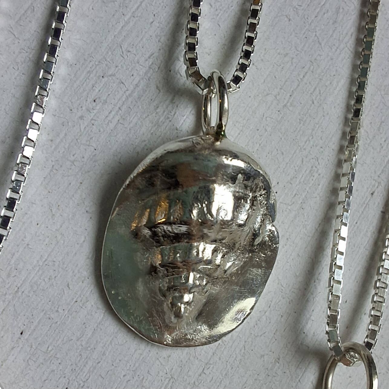 Concha Perfectamente Imperfecta