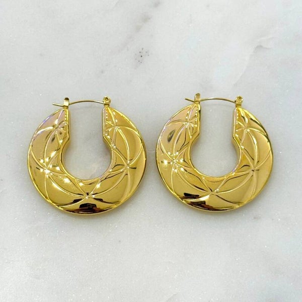 Pendientes de aro de acero inoxidable Sera