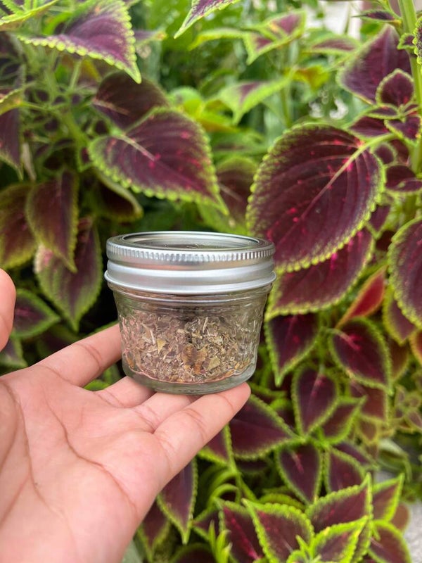 Pregnancy Blend